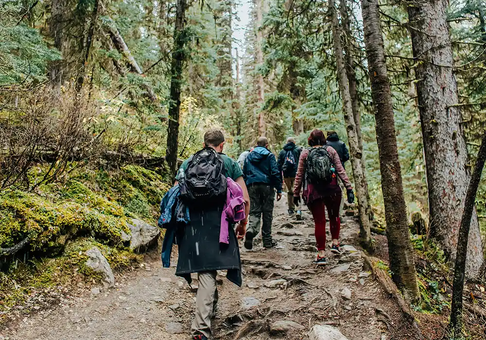 group of people hiking in woods