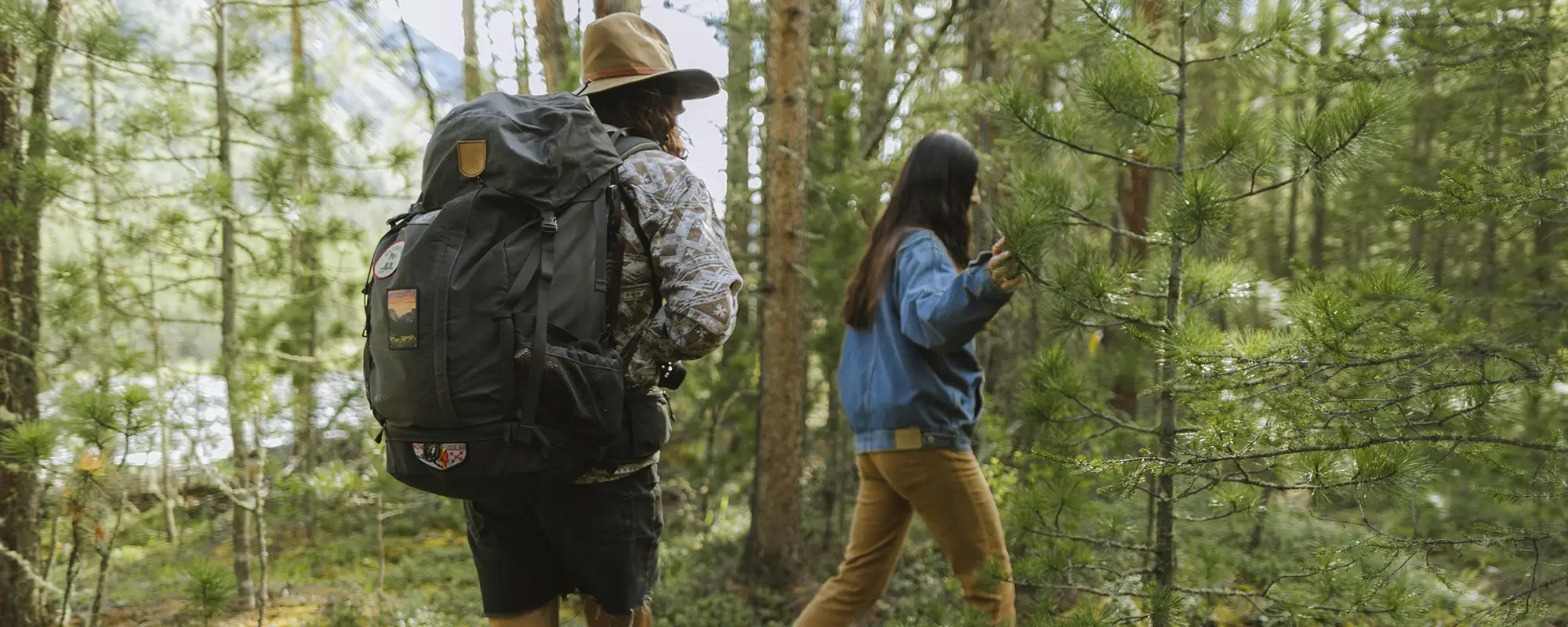 couple of people hiking in forest