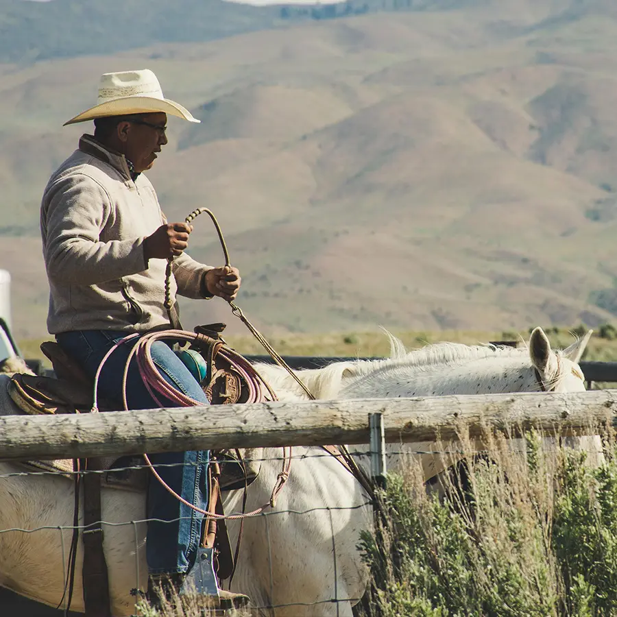 cowboy on horse with rope